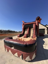 IMG 4983 1739724199 Lions Combo